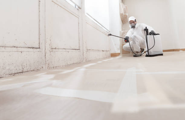 24/7 Emergency Mold Remediation experts in Kings Park, VA