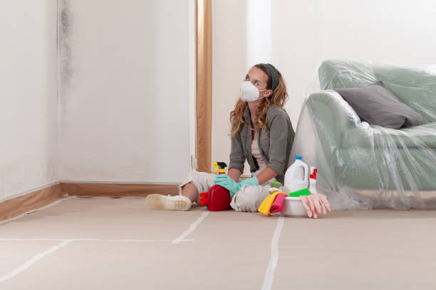 Reliable Mold Remediation contractor in Kings Park, VA by WQB Mold Removal